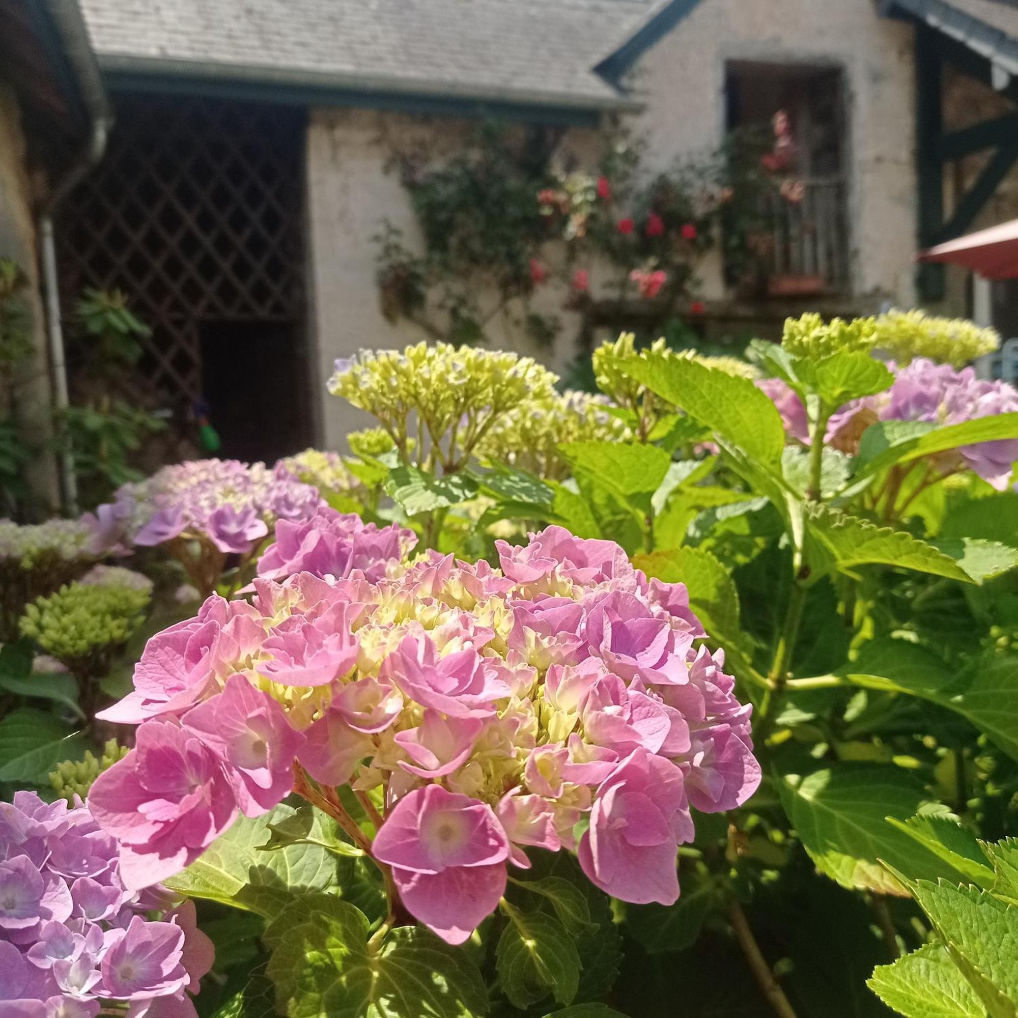 Le Clos De Cinacle Ogeu-les-Bains Exterior foto